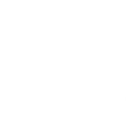Blue Star Pure Water